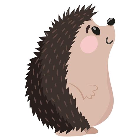 Cartoon Igel Premium Vektor