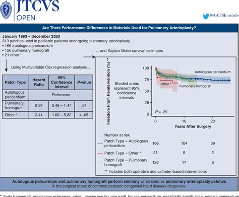 Evaluation And Comparison Of Patch Materials Used For Pulmonary