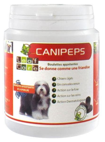 Choisir Les Compl Ments Alimentaires Pour Chien Cocooncenter