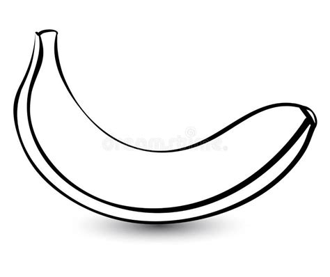 Banane De Monochrome De Croquis D Ensemble Illustration De Vecteur