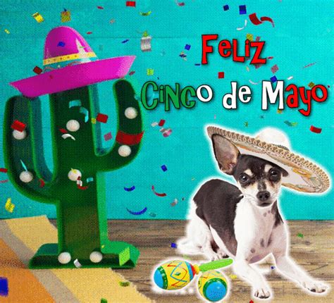 happy cinco de mayo card    cinco de mayo ecards