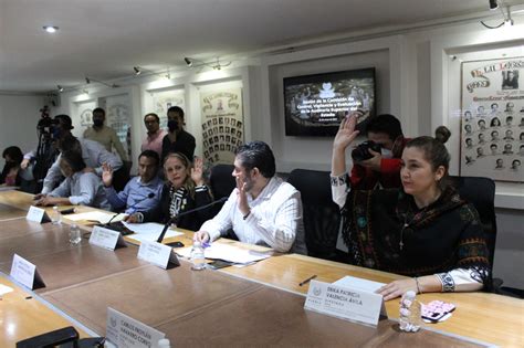 Turnan A Pleno De La LXI Legislatura Propuesta De Perfil Para Encabezar