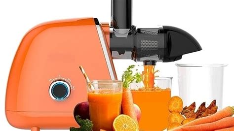 Best Cold Press Juicer In India Top Choices For Healthy And Fresh