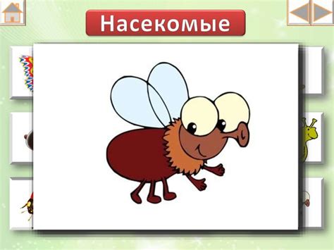 Игра "Насекомые" - презентация онлайн