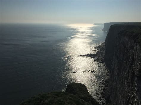 Bempton Cliffs Yorkshire - Free photo on Pixabay - Pixabay