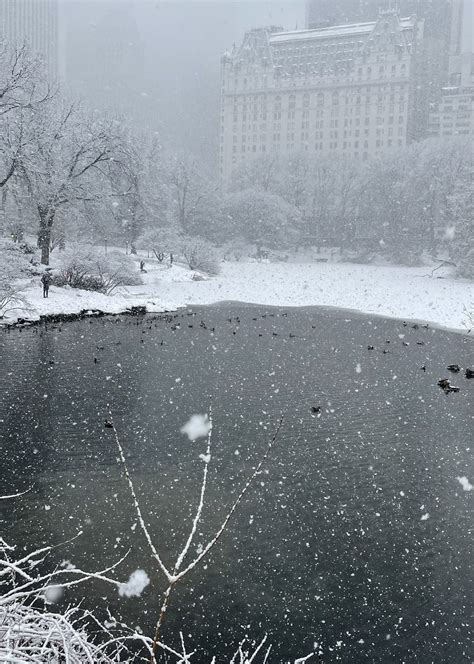 Meteo USA Torna La Neve A New York Paesaggi Mozzafiato A Manhattan FOTO