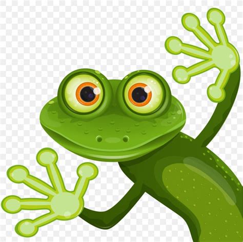 Royalty Free Vector Graphics Frog Stock Photography Illustration PNG