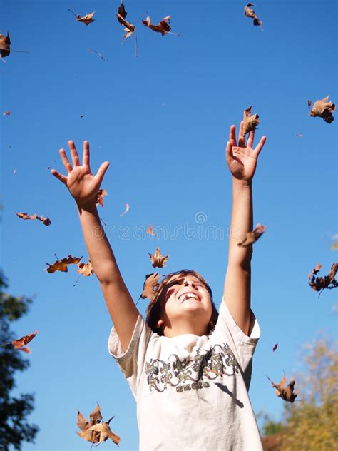 Folhas De Jogo Do Menino No Ar Foto De Stock Imagem De Alegre Azul