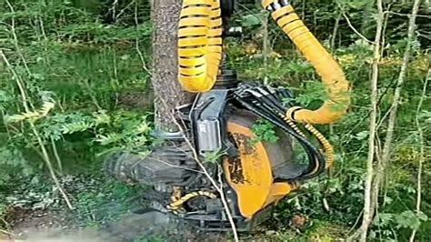 Forestry Machines Amazing Giant Excavator Cutting Tree Fast Tree Removal Machine Youtube