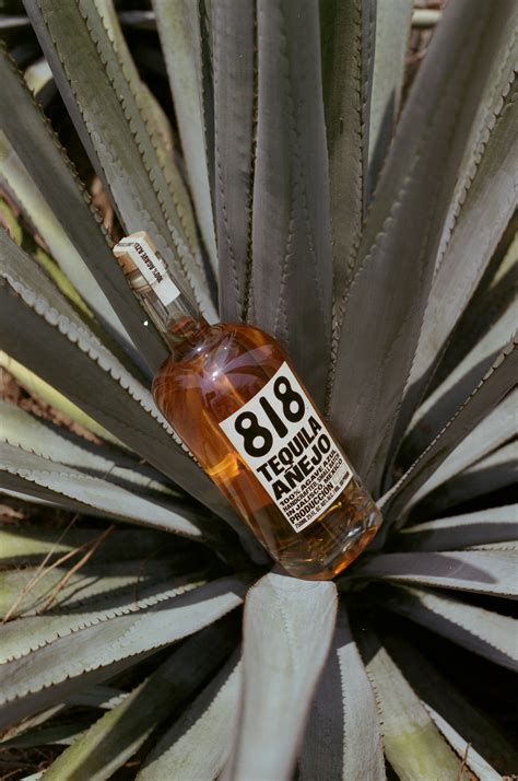 818 Tequila on Behance