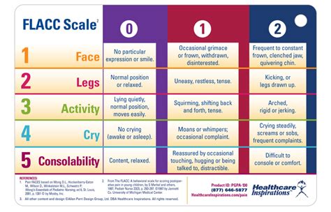 Pocket Guide Visual Pain Scale