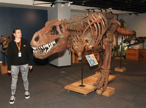 Dinosaur exhibit at the Dunn Museum – Shaw Local