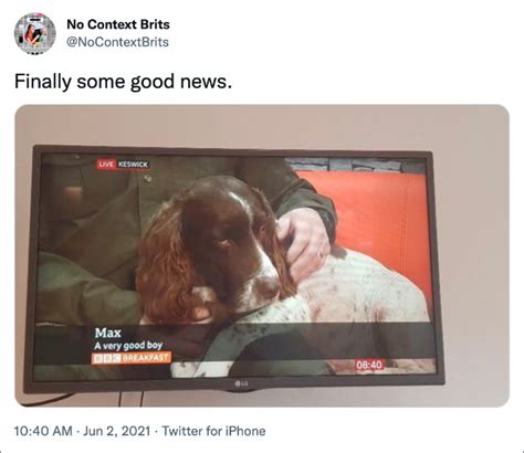 23 Hilarious British Photos Without Any Context - Barnorama