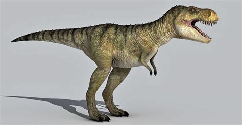 Tyrannosaurus Rex 3d Model