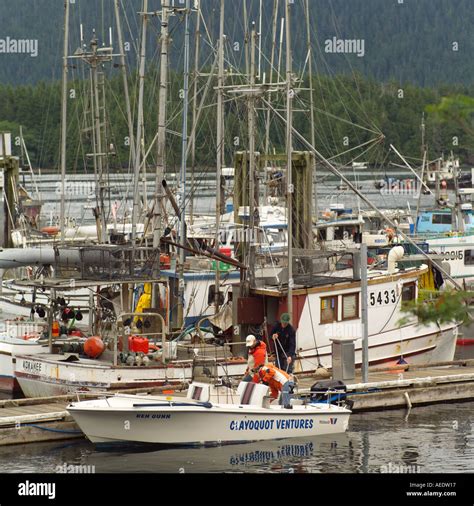 Pacific Rim National Park Vancouver Island Canada Stock Photo - Alamy