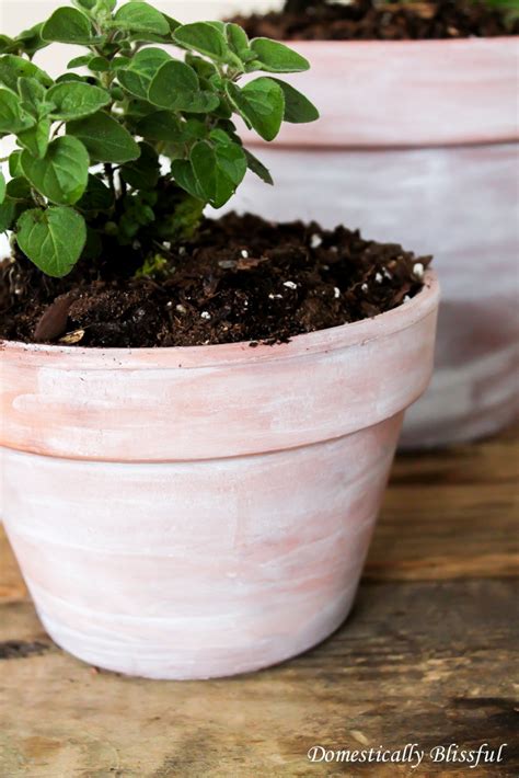 Dreamy Herb Garden Pots