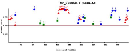 Graphical representation of the potential phosphorylation sites in... | Download Scientific Diagram