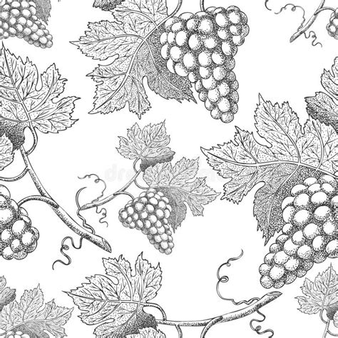 Motif Vectoriel Sans Couture Avec Raisins Vectoriel De Dessin De Style