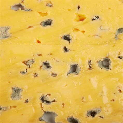 Close Up Fragment Of A Mold Cheese Stock Photo Image Of French Macro