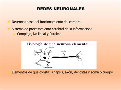 Redes Neuronales Artificiales Powerpoint Monografias