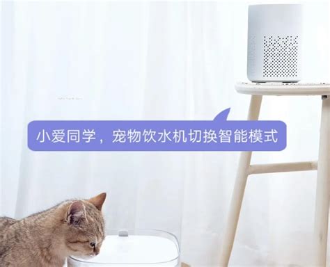 Xiaomi Mijia Smart Pet Feeder Xwpf01mg — Xiaomi-pad.ru