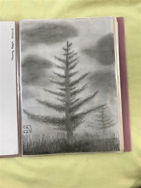 A Drawing Of A Pine Tree Is Shown In The Middle Of An Open Book On A Bed