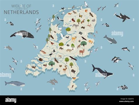 Tierwelt Niederlande Stock Vektorgrafiken Kaufen Alamy