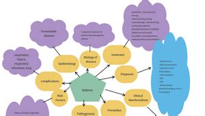 COPD Concept Map By Zarkeybru Grubbs On Prezi Design