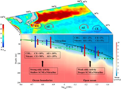 Schematic Of Eddy Induced Chlorophyll Chl Response In The North Download Scientific Diagram