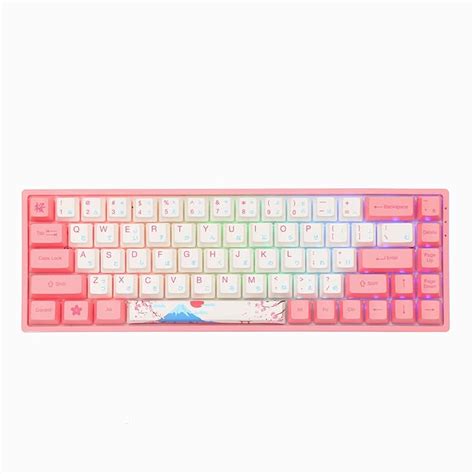 Buy EPOMAKER AKKO B World Tour R Hot Swap Multi Mode Wireless Mechanical Keyboard With