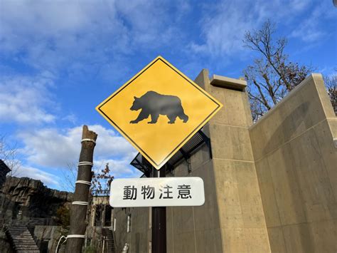 旭山動物園に「えぞひぐま館」がオープン めっちゃ北海道