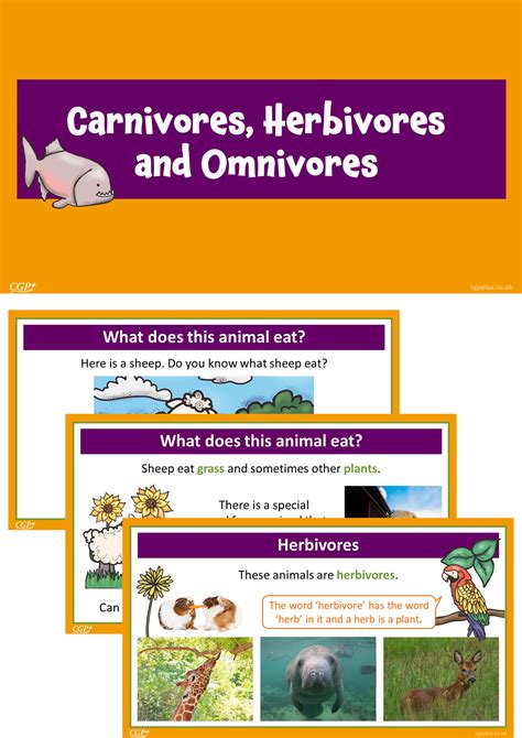 Examples Of Carnivores Herbivores And Omnivores