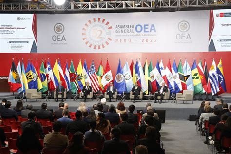 Misión De La Oea Ofrece Detalles De Su Llegada Este Domingo Al Perú