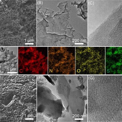 A Sem Image For Sncc B Tem Image Of Sncc And C Highresolution