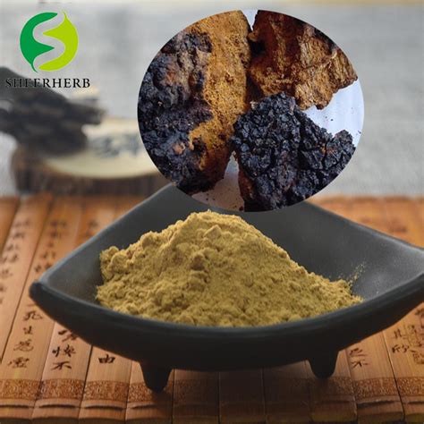 Sheerherb Polysaccharide Siberian Organic Chaga Mushroom Extract Powder