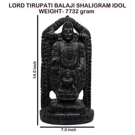 Black Lord Tirupati Balaji Venkateshwara Viii Carved On Shaligram