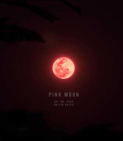 Look Full Pink Moon Cebu Daily News