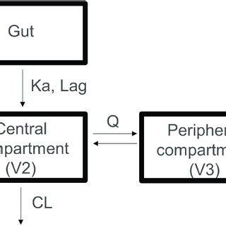 The population pharmacokinetic model of CC-122. The model comprises ...