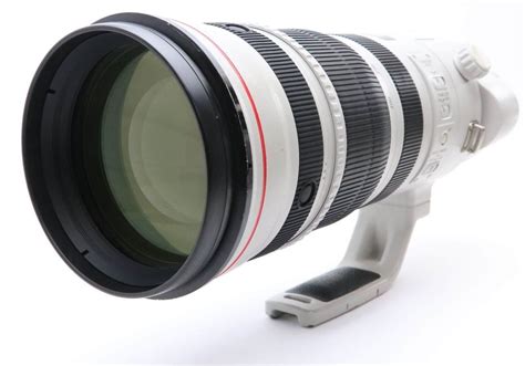 Canon to Introduce New Extreme RF Super Telephoto Lens