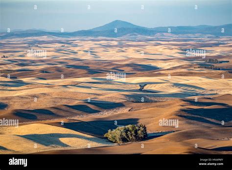 Views of the Palouse from Steptoe Butte Stock Photo - Alamy