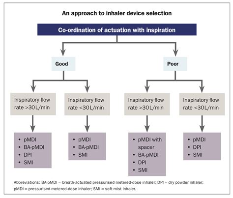 Inhaler Therapy For COPD An Individualised Approach To Inhaler