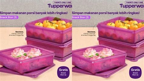 Katalog Promo Tupperware Di Akhir Bulan Januari Tempat Buah Beli