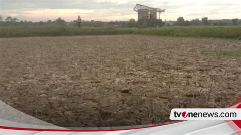 Sejumlah Wilayah Pulau Jawa Alami Kekeringan Di Jawa Barat Kabupaten