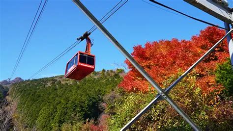 筑波山・山麓の紅葉名所、2024年紅葉見頃情報茨城vrツアー