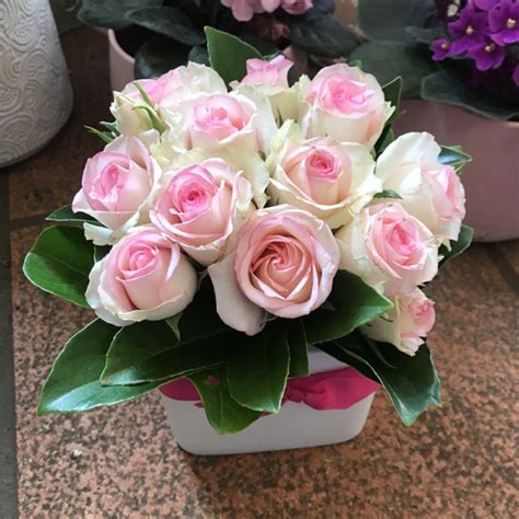 Rose Box Scotts Florist Sutherland Shire Order Online 247