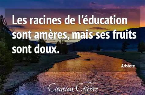 Citation Education Racines Fruits Aristote Phrase N48751