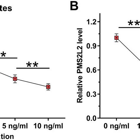 Pms L Over Expression Effects On Mir A Expression By Chondrocyte