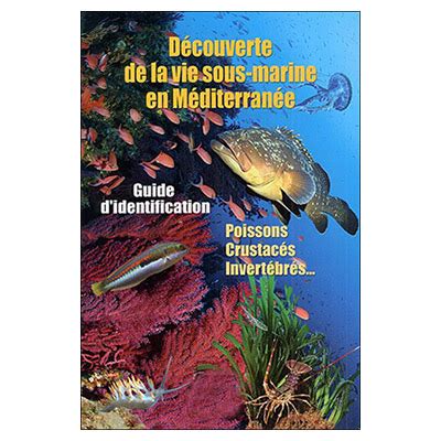 Découverte de la vie sous marine en Méditerranée FILITOSA OFFICIEL