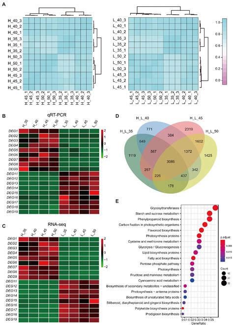 Frontiers Genome Wide Association Analysis Combined With Quantitative