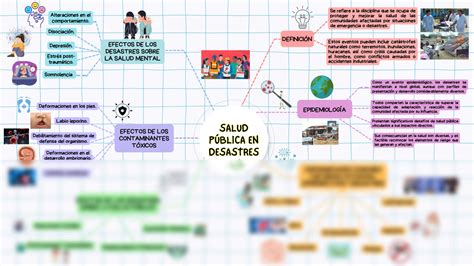 Solution Mapa Mental Salud P Blica En Desastres Studypool